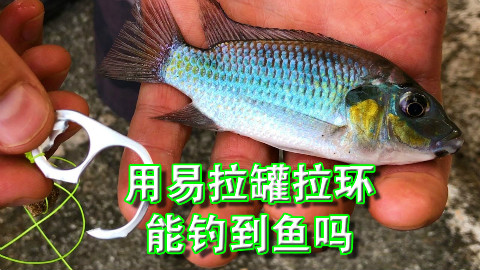 【soso字幕】胡乱王 易拉罐拉环能钓到鱼吗 @Sofronio